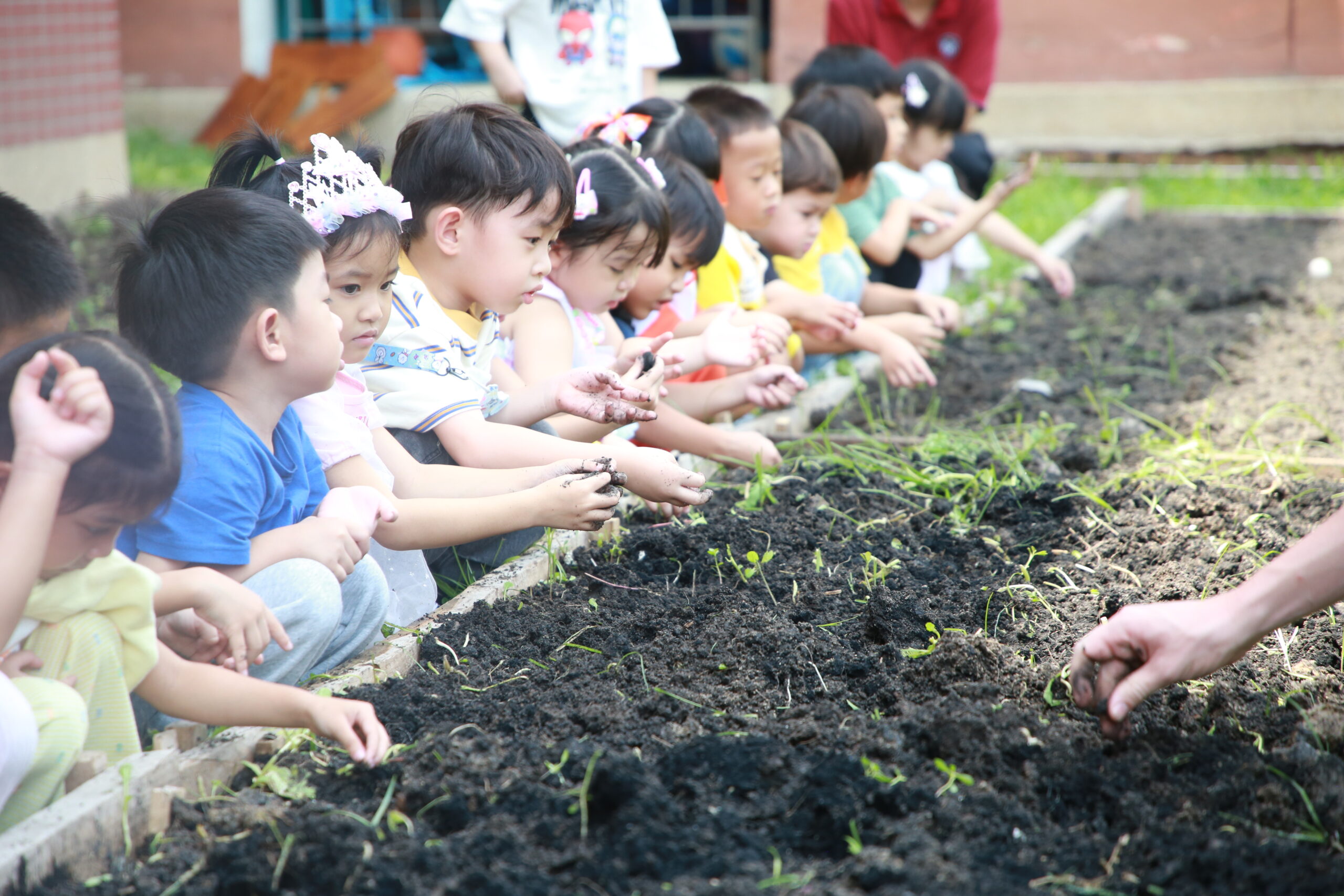 Organic Farm